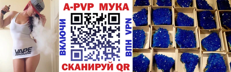 omg   Удомля  А ПВП СК КРИС 