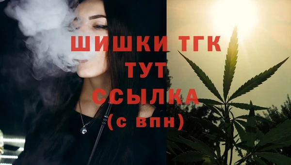 гидра Абаза