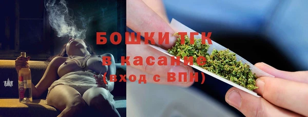 гидра Абаза