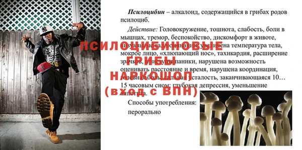 тгк Абинск