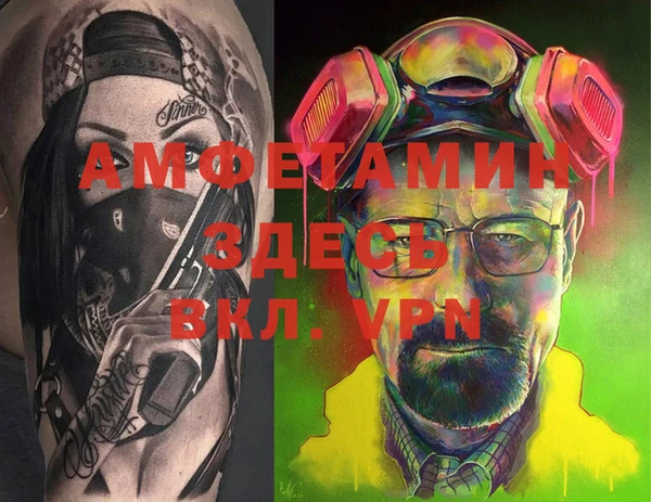 гидра Абаза