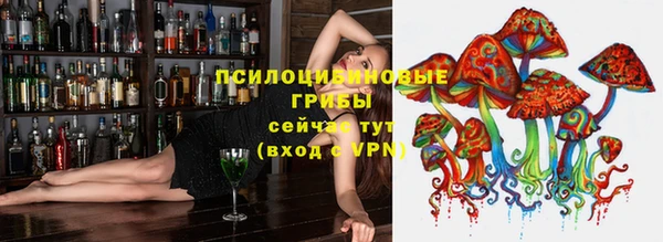 шишки Алексин