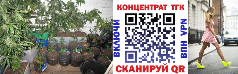 ТГК концентрат  ОМГ ОМГ как зайти  Удомля 