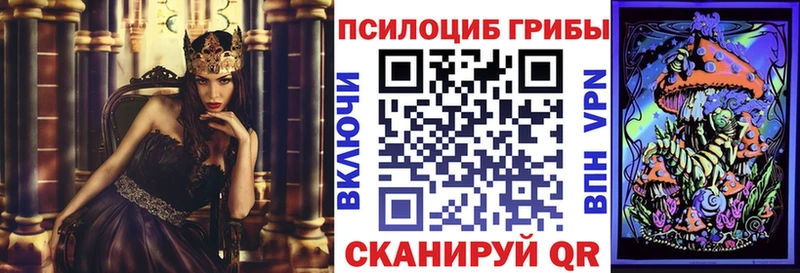 Псилоцибиновые грибы мицелий  Удомля 