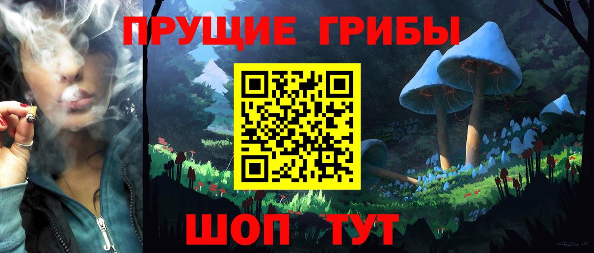 Псилоцибиновые грибы Psilocybine cubensis Удомля