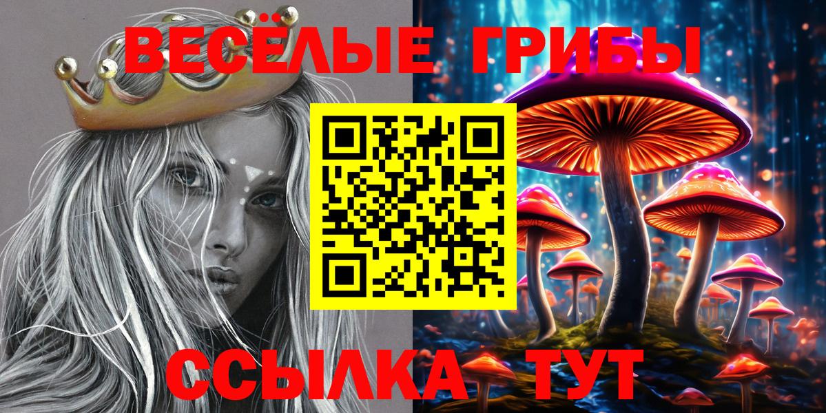 где найти   Псилоцибиновые грибы Psilocybine cubensis  Удомля  Вход с VPN  Псилоцибиновые грибы ЛСД 